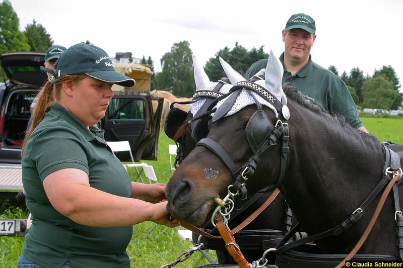 Ponytag Bosbach 2012-047.jpg